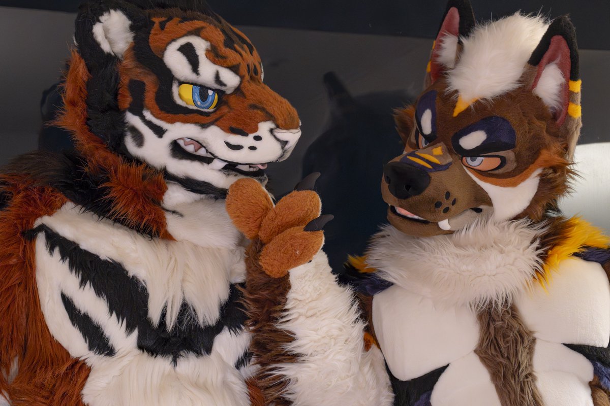 Alextiger2020 tweet picture