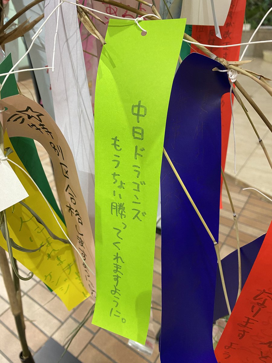 pinadoala's tweet photo. 毎年、短冊にドラゴンズのAクラスをお願いするのですが、もはやそれも書くのをやめてしまいました…。 https://t.co/2qNIXTvtHy