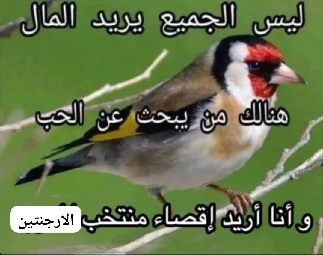 no_body_013's tweet photo. والمال https://t.co/qvhSHUk3b0