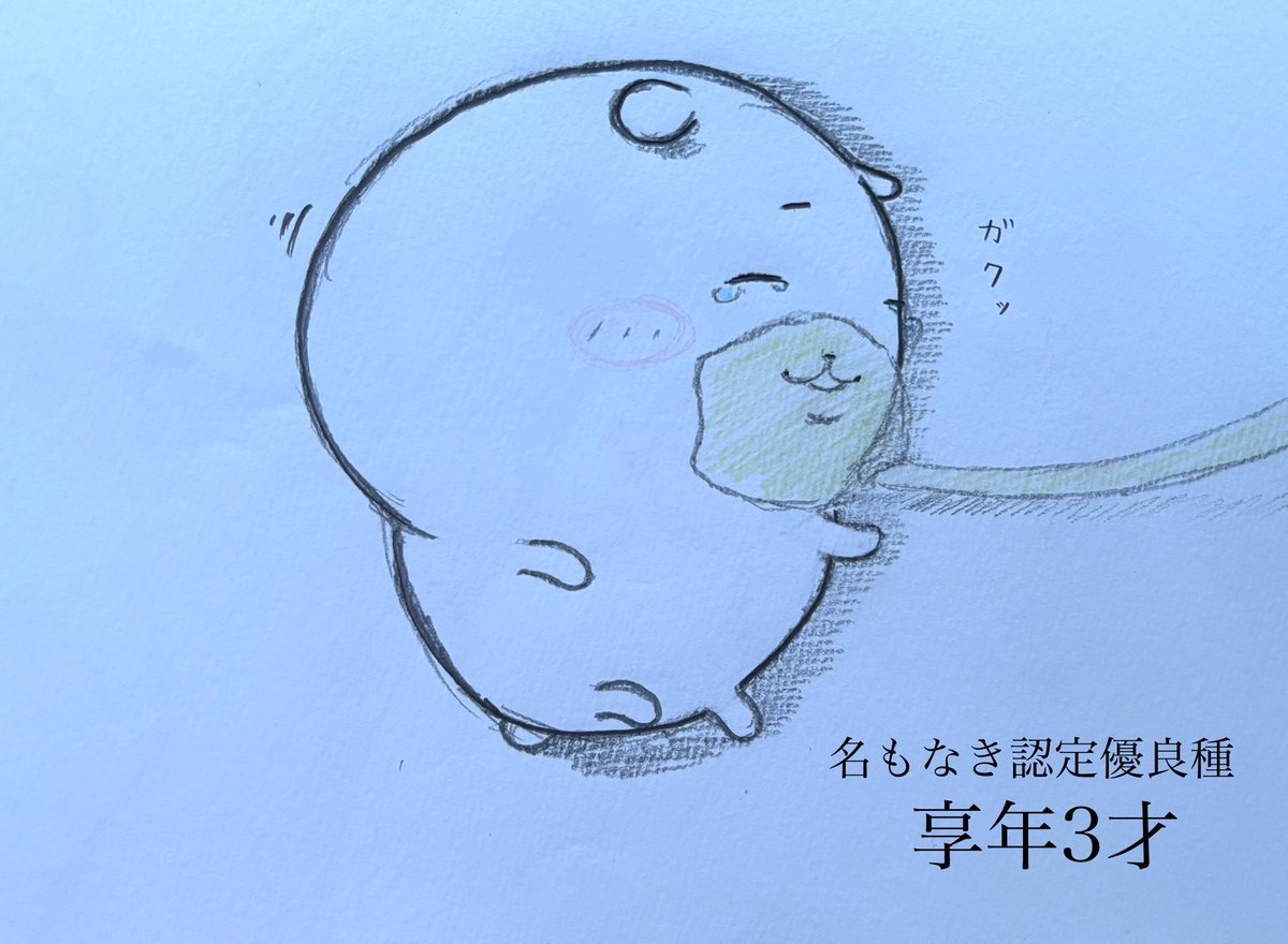 Chiqugj's tweet photo. (27)「ありがとう。」誰かを恨むこともなく、ただ優しい笑顔でその小さな命は旅立った。彼はどんな夢を見ているのだろうか... #ちい虐 https://t.co/U7hK8fg5se