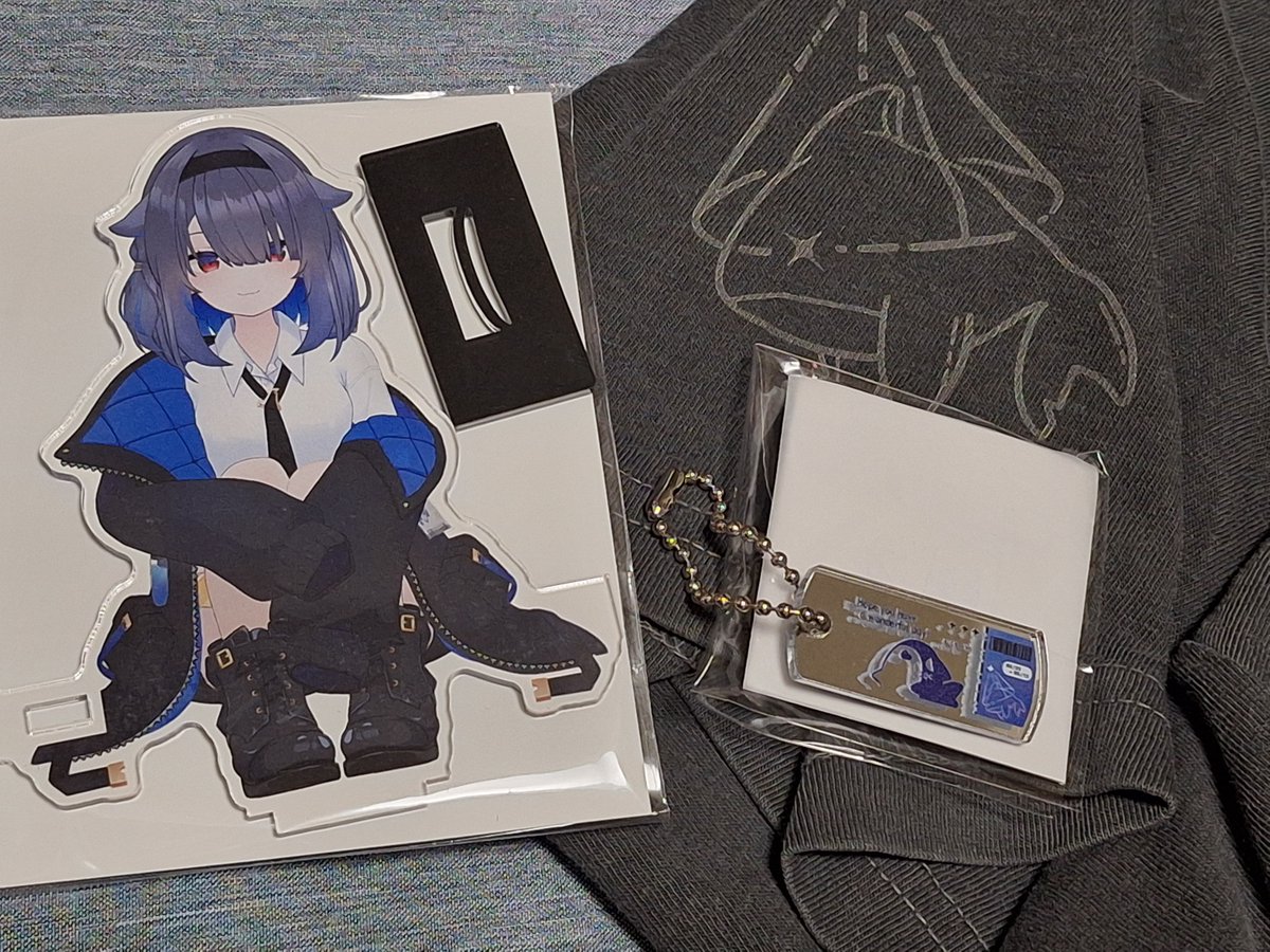 risa_maru_v's tweet photo. #CheCheLog
チェチェさまグッズありがとーー
お座りアクスタ(立ち絵)にタグシャツ助かる🙏 https://t.co/hh1obrnvNm