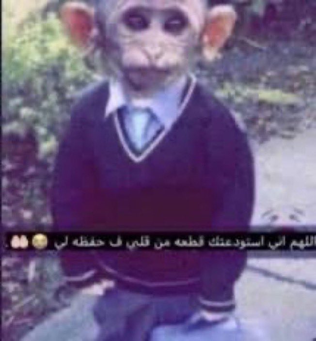 lllrby73's tweet photo. رغبتي الاولى 🤲🏻 https://t.co/W6FcYzEsvn