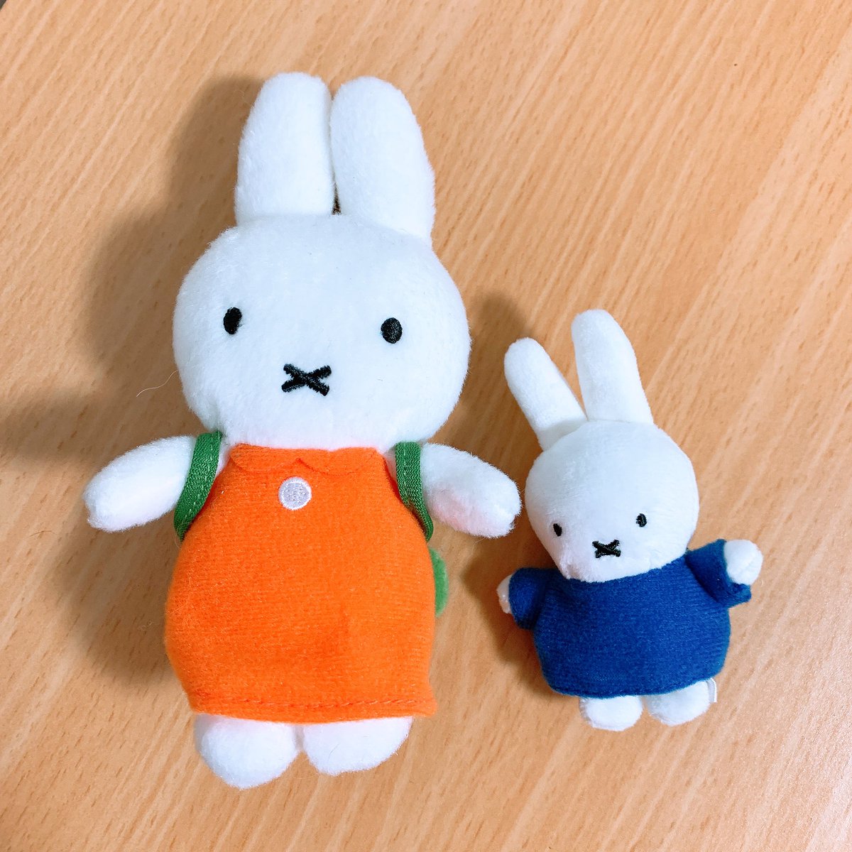 OdpZjf's tweet photo. ミッフィーのプチぬいぐるみちっちゃ！！
いつものマスコットと比べてもこんなにちっちゃいかわいい😆
ラインナップにメラニーがいるのが嬉しい🫶

#ミッフィー https://t.co/fnRkD4FUPZ