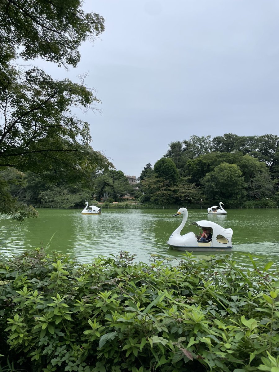 dousa_stamp's tweet photo. 今日の井の頭公園🌲散歩楽しかった♪ https://t.co/UBhLqdabae