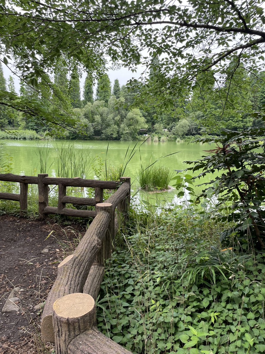 dousa_stamp's tweet photo. 今日の井の頭公園🌲散歩楽しかった♪ https://t.co/UBhLqdabae