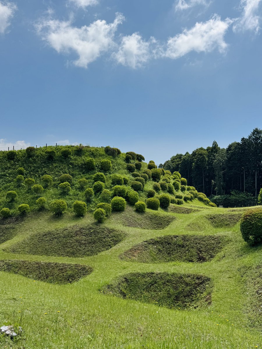 Potape39's tweet photo. 静岡県　山中城

障子堀がアートの箱庭のよう😚
ワッフルの窪みに落ちた兵士はその深さにもがいて脱出できないというワクワクするコンセプトで築堀されましたが実際の戦は無情、豊臣方七万の軍勢によりあえなく落城🥺
10%くらいの兵は思惑通り窪みにハマったと思いたいです😭 https://t.co/Lo6OZSr6fo