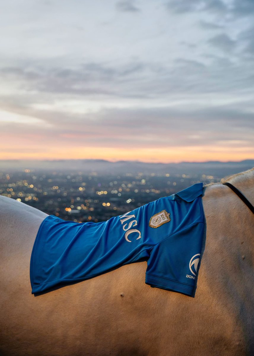 en_sscnapoli's tweet photo. A spirit that can't be tamed
The 2026/27 Home jersey is now available 👇https://t.co/7DrijEJD73 https://t.co/YDzq8PuvSR