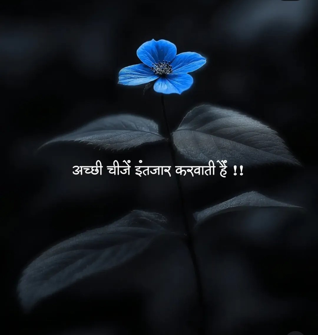विह्वलित मन tweet media