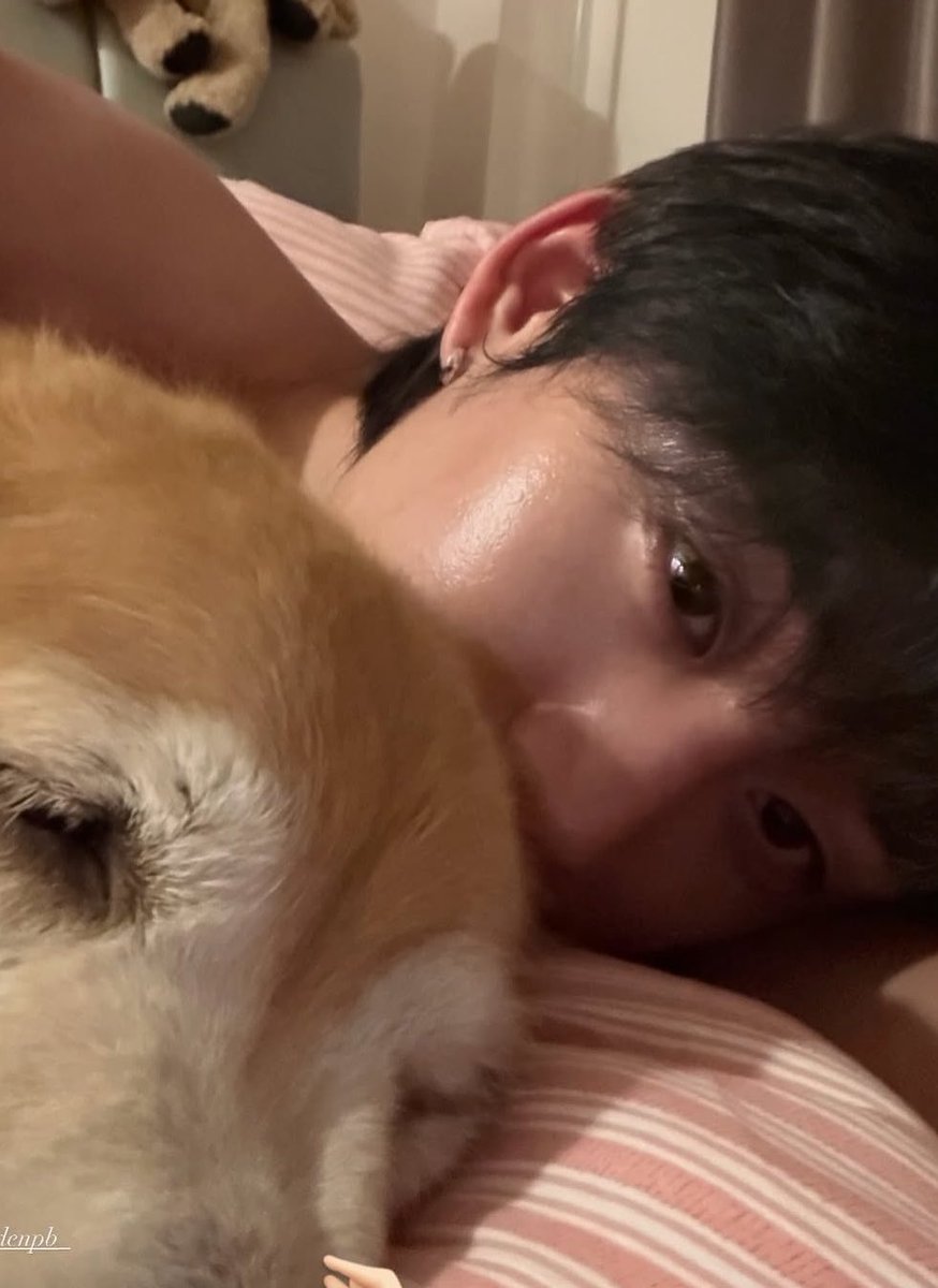 hope_bpn's tweet photo. น่ารักมากเลย 🥺 🐶🤏🏻🦈🤏🏻

#est_rvp https://t.co/qdJPW65Pht