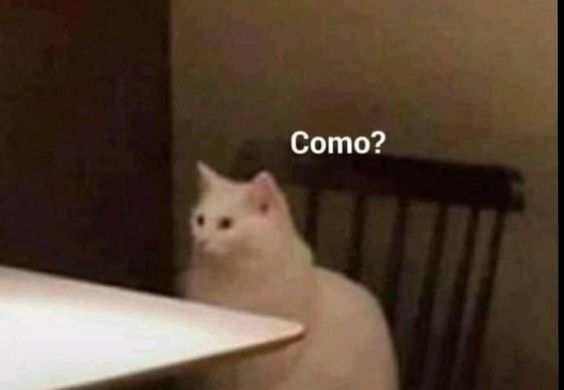 PIKCAL1's tweet photo. toi en directo y esas cosas

jugaré a pokemon escudo vamos a comprobar si es tan malo como lo recordamos https://t.co/3p5Ersui27