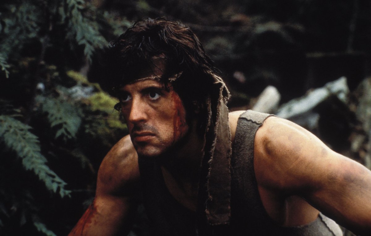 Rambo tweet media