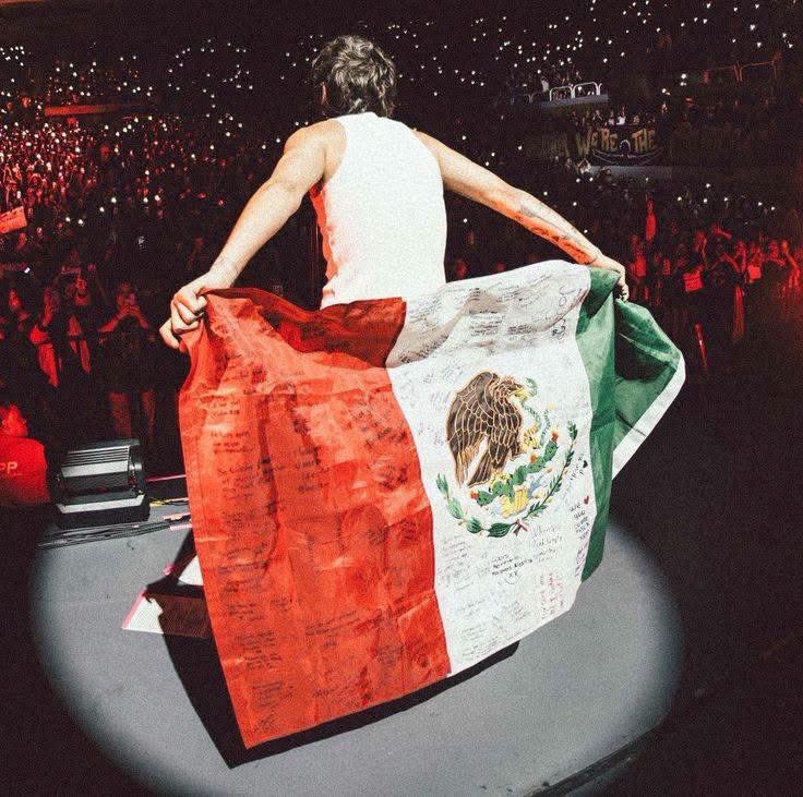 alwaysxlths's tweet photo. No sé en qué momento la “funa” a Louis fue de verdad. Salieron gente que ni es del fandom a quejarse. Oigan, es futbol, así es. Claramente vas a celebrar cuando tu equipo meta gol/gane. Si no le saben a la vibra FIFAs no se metan, neta. Louis ama México https://t.co/I4MRYjK1EQ