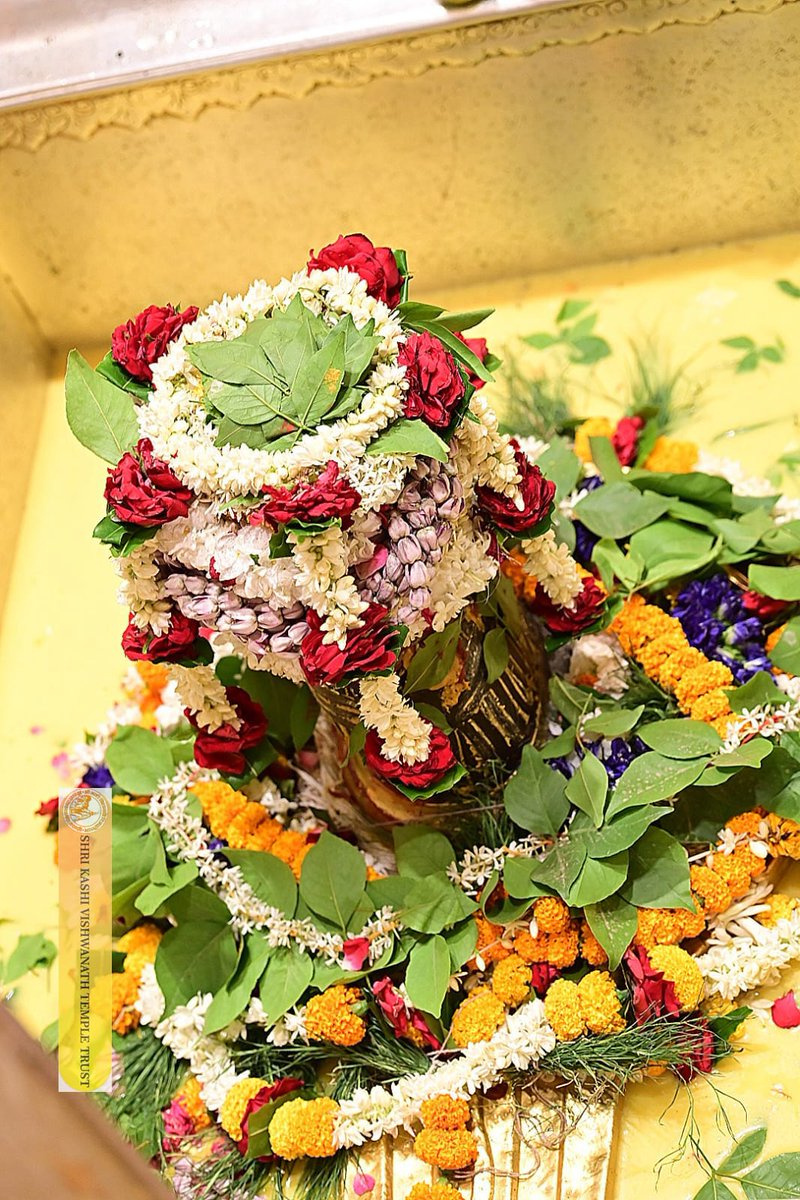 ShriVishwanath's tweet photo. श्री काशी विश्वनाथ जी की सप्तऋषि आरती I
#kashivishwanath #kashi #hindu #sanatandharmaहमारे https://t.co/mD9rqgX141