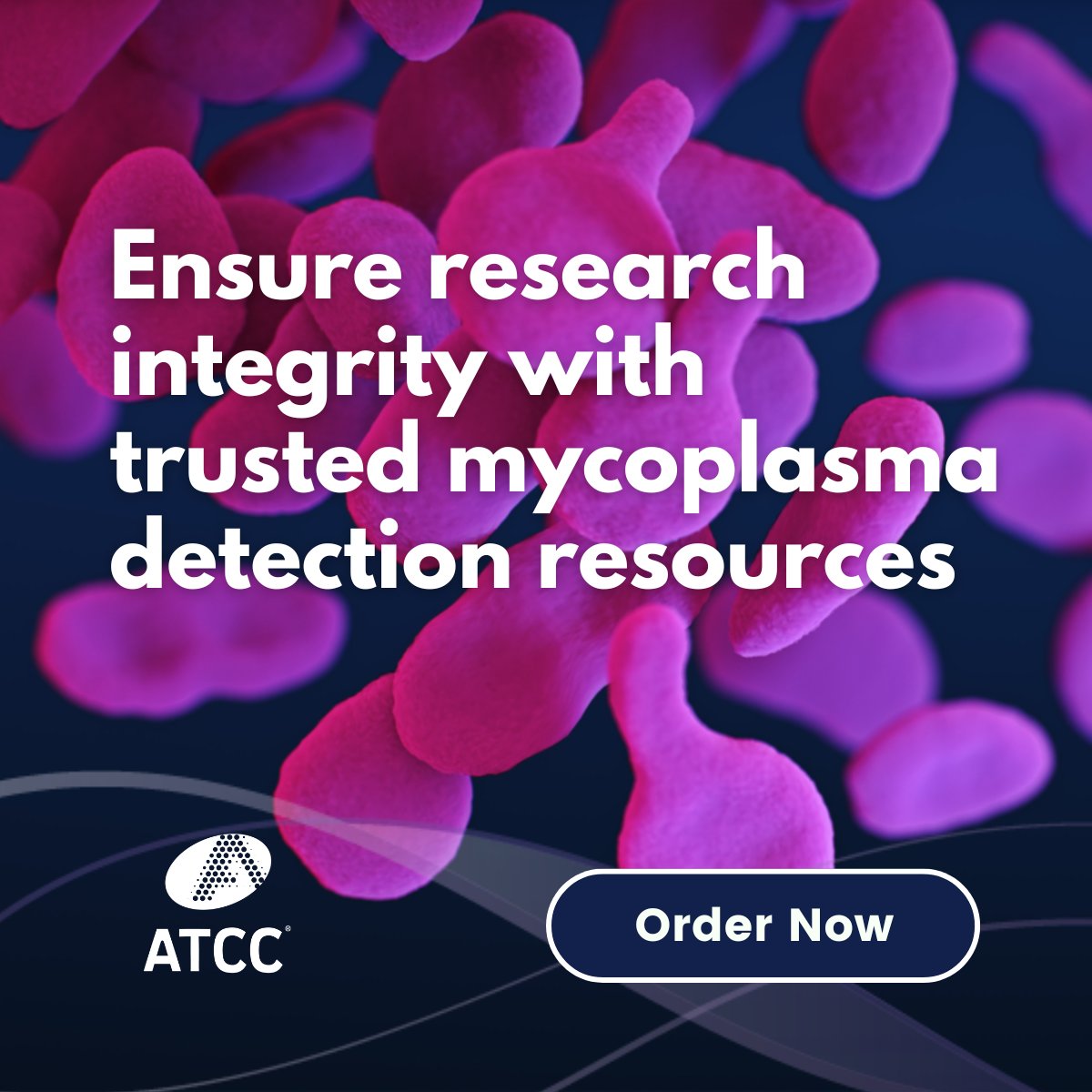 officialatcc's tweet photo. Protect your cell cultures from the silent threat of mycoplasma contamination with ATCC's comprehensive mycoplasma portfolio. ​

Discover how ATCC can safeguard your research:  https://t.co/1DmUxEiaww https://t.co/MG7nUwvf8m