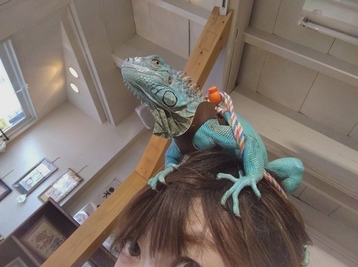 6775moe's tweet photo. 普通にアベ様予想外すぎて死ぬ（尊死） https://t.co/xFpxe7HZvx