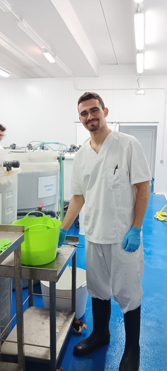 ITACYL's tweet photo. El #CentrodeInvestigaciónenAcuicultura da la bienvenida a Samuel, estudiante del Grado de Biología.

Durante su estancia participará en un estudio sobre el efecto de las olas de calor en trucha arcoíris, una especie sensible a los cambios de temperatura.

#ITACyL #Acuicultura https://t.co/suteIzksTU