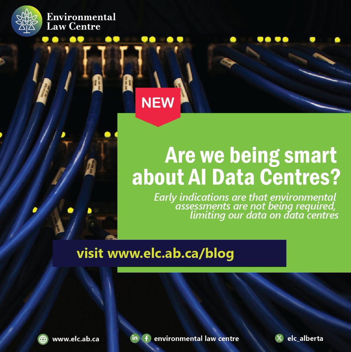 ELC_Alberta's tweet photo. AI data centres are being considered as the next frontier of economic growth in Alberta, but are environmental assessments keeping pace? https://t.co/0DXq5BzkIw