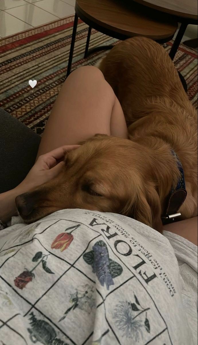 JulietLeo32572's tweet photo. Zoo model who gives pleasure to her dogs because she likes it so much dog!
TELEGRAM https://t.co/oXQBCPaI47

#zoophillia #zoosarevalid #beastiality #dogknot #zooprideisvalid #zoophile
#antizoo #antizoophileantizoo #k9girl
#zoopride
#zoophilepride #zoopositivity https://t.co/aiQJ1VocmW