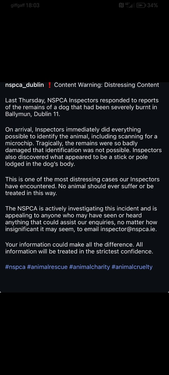 CapatanEl4662's tweet photo. The NSCPA  have comfirmed the dog that was burnt in ballymun, dublin. Had a pole threw its body and was being roasted like a pig for these savages to eat.

This cruelty is unheard of in ireland. And if mass deportations don't happen soon. It could be a child next. Who knows with these low IQ savages.