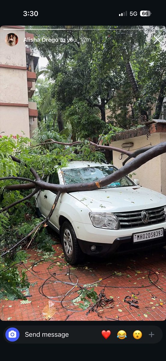 sawantsid45's tweet photo. Trees  were fallen on the location given below @mybmc @mybmcWardHW to clear it as soon as possible .
📍near federal bank ,st John Baptist road 
📍near cemetery ,kadeshwari marg
📍gallord building , kadeshwari marg. https://t.co/cW8xfpbtfB