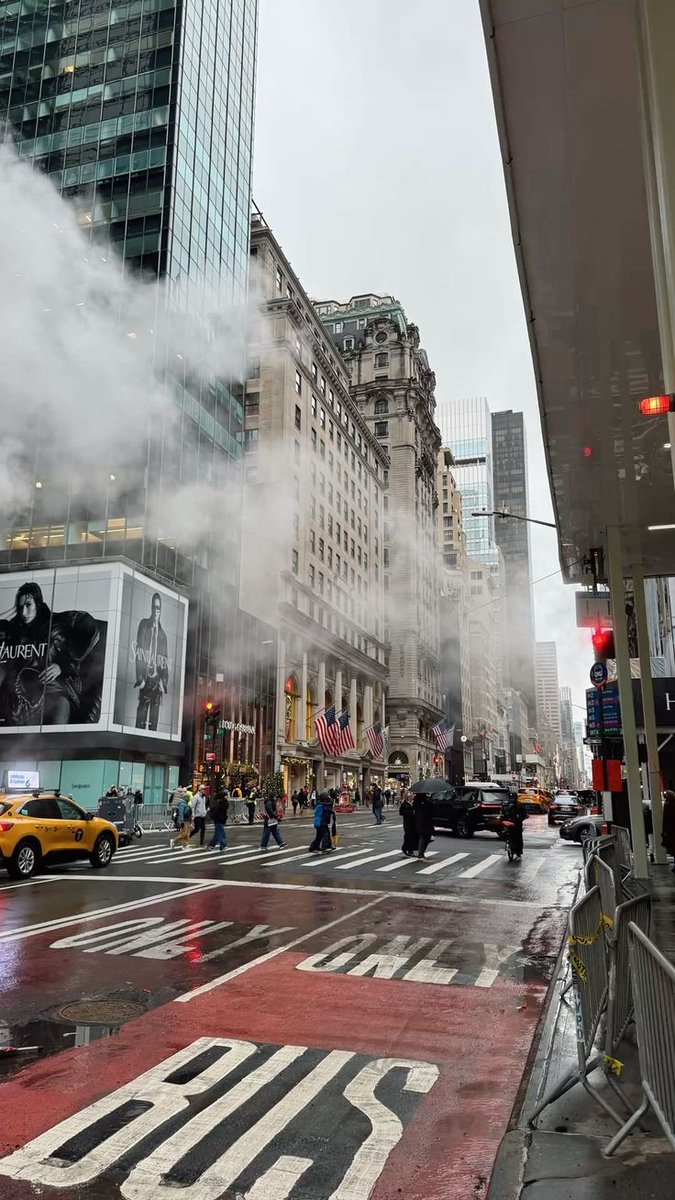 ADDYVXNUS's tweet photo. Losers in NY! https://t.co/sVjr1VE0Gf