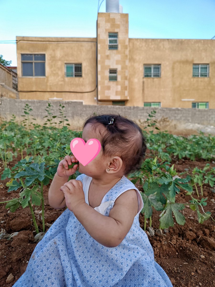 غـرآمــ الـعـجارمـة🇯🇴 tweet media