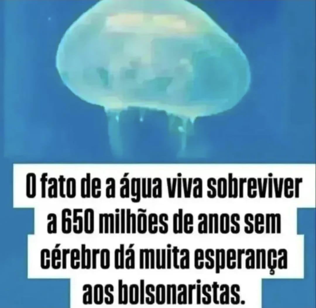 fernandusster's tweet photo. @PmaCarol @Drikahellll @LulaOficial Pois é, tai o motivo https://t.co/mhiLCZJyNN