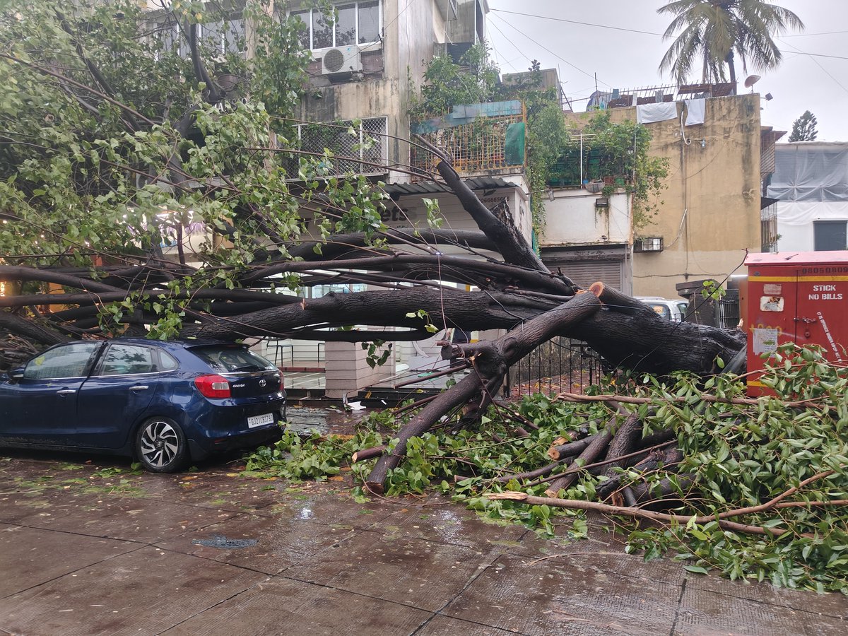sawantsid45's tweet photo. Trees  were fallen on the location given below @mybmc @mybmcWardHW to clear it as soon as possible .
📍near federal bank ,st John Baptist road 
📍near cemetery ,kadeshwari marg
📍gallord building , kadeshwari marg. https://t.co/cW8xfpbtfB