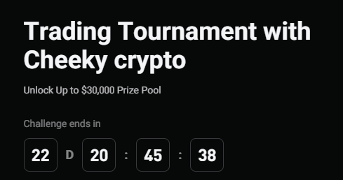 Cheeky Crypto tweet media