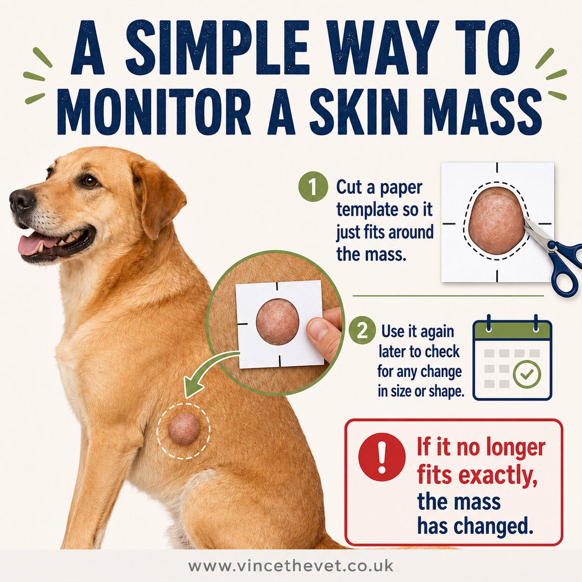 VinceTheVet's tweet photo. MONITORING CHANGES IN THE SIZE / SHAPE OF A SKIN MASS IN RESPONSE TO SUPPLEMENTATION / TREATMENT IS IMPORTANT IN ASSESSING HOW EFFECTIVE THE MEASURES IMPLEMENTED ARE.

Here is a simple way to do this:

1. Cut a hole in a large piece of paper, so that just fits around the perimeter of the mass. (And date the sheet for future reference.)

2. Check to see if it still fits over the swelling every 7 to 14 days. If it doesn't, create a new template and compare the size / shape of the holes in the two.

This is an easy way to see what effect medical treatment and / or supplementation is having on shrinking a mass, or keeping it's growth in check.

https://t.co/6JKMW7jTmJ