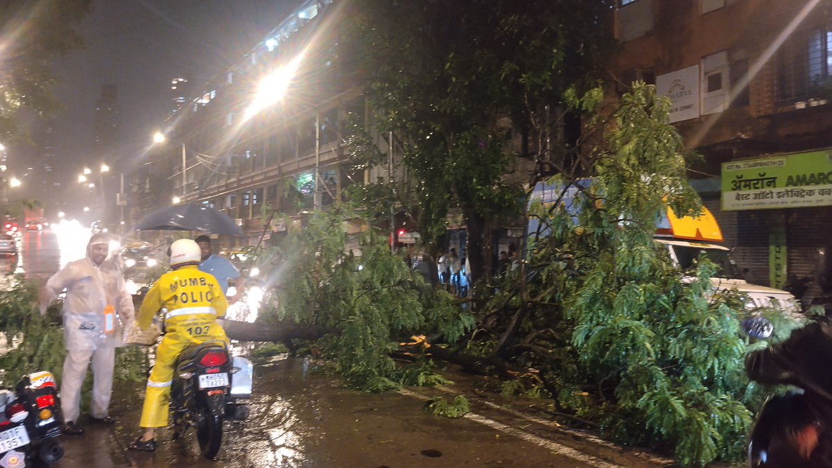 Rohan_Rane1's tweet photo. @mybmc @mybmcWardD @DBMargPS @abpmajhatv @mayor_mumbai One more free fallen one lady injured and taxi got just saved at South Mumbai Opera house instant DB marg police and Nana chowk Fire bridge  came and helped lady and cleared way.But how manun trees wilfal https://t.co/Sz2wJbFyb7