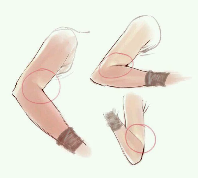 fznutri's tweet photo. This part of the arm needs detail and shading. https://t.co/I92TABs8uk