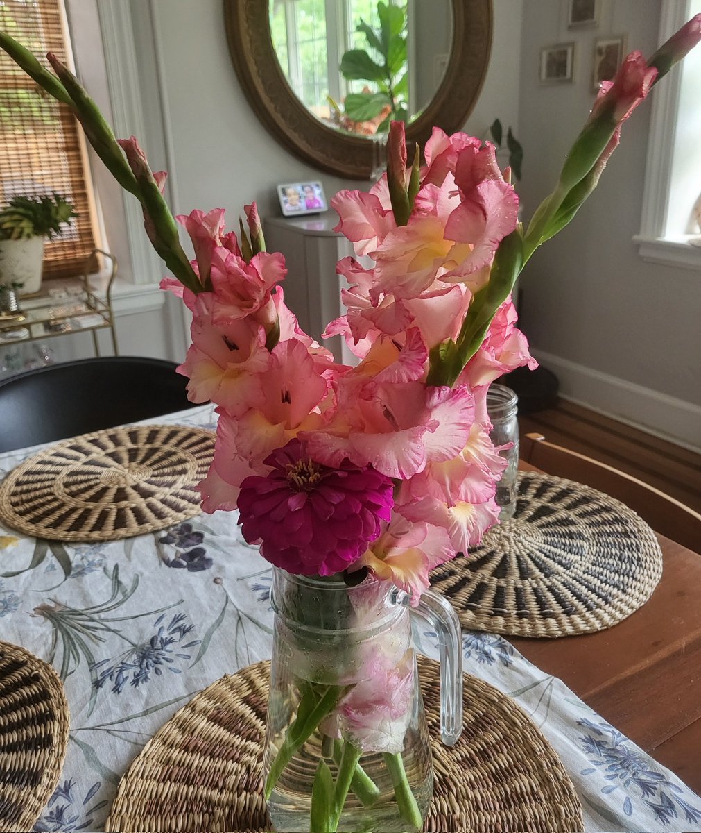 SocialBrown's tweet photo. A few blooms from my garden. Beautiful gift from mother nature. 🌸 #gardening #gladiolas https://t.co/AC27KBl6eH