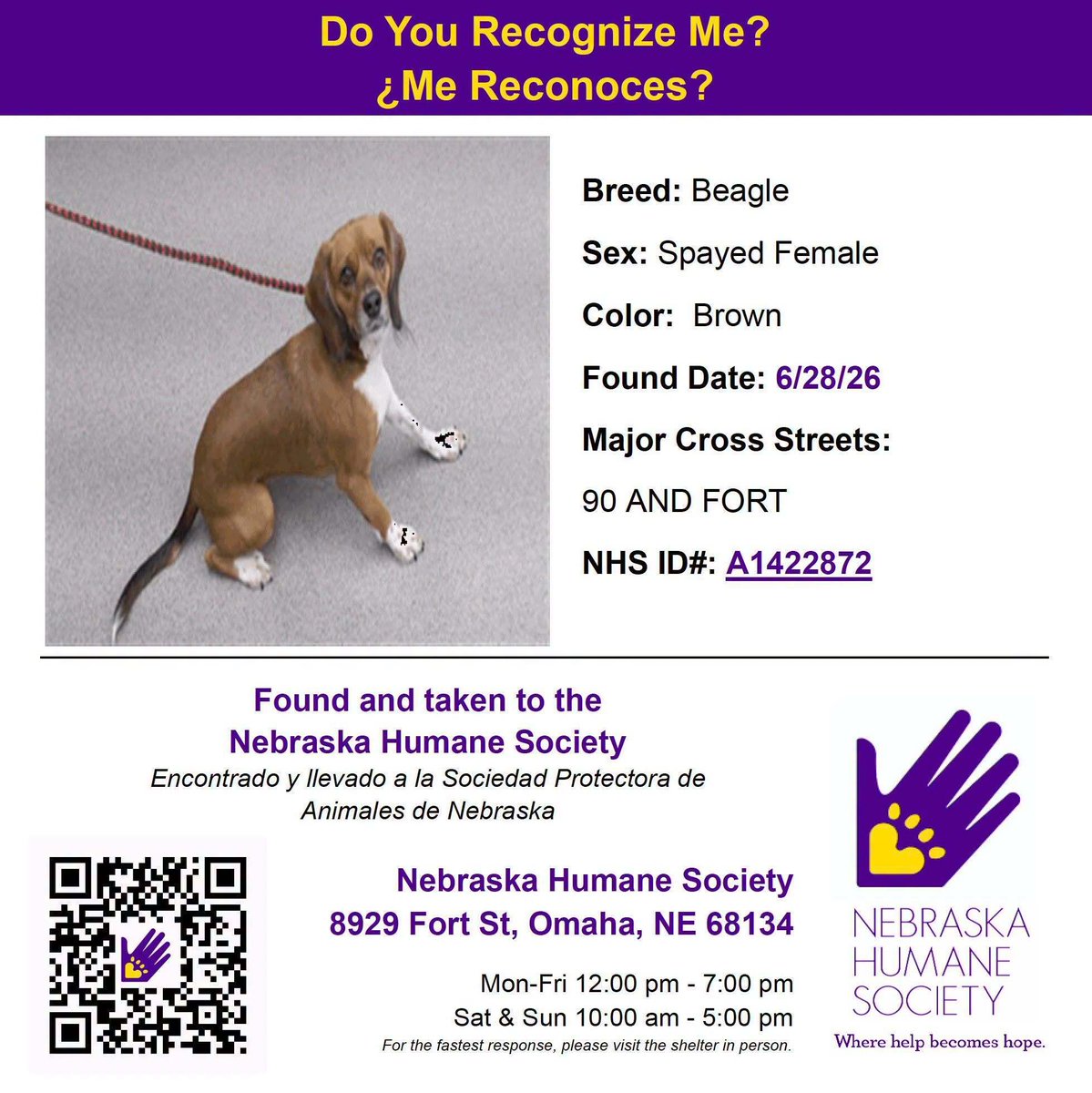 NEHumaneSociety's tweet photo. https://t.co/Pjo3707LaK