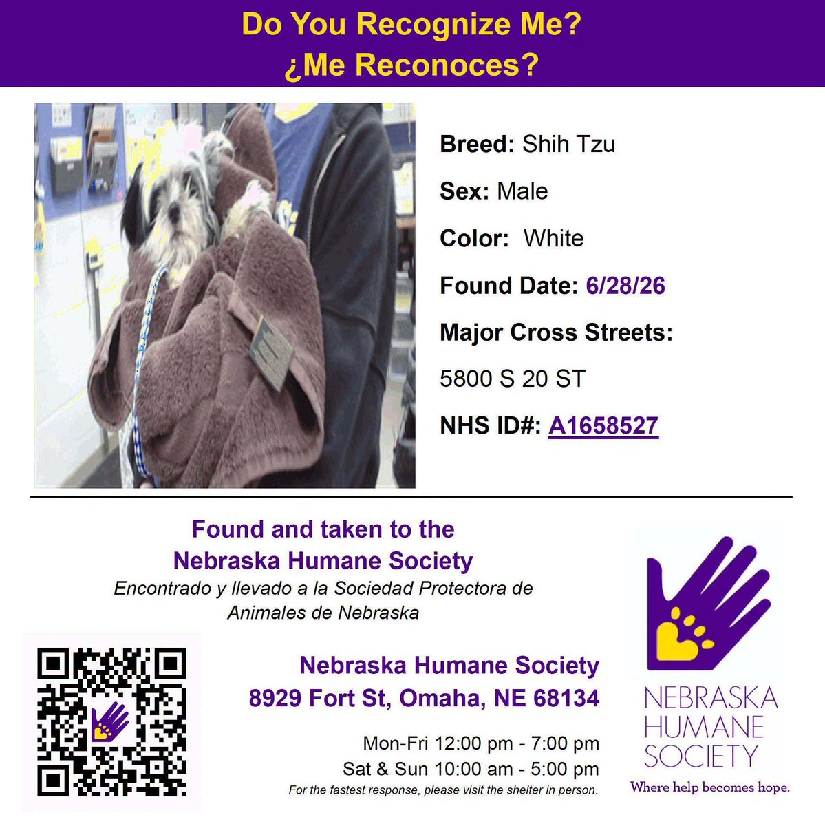 NEHumaneSociety's tweet photo. https://t.co/Pjo3707LaK