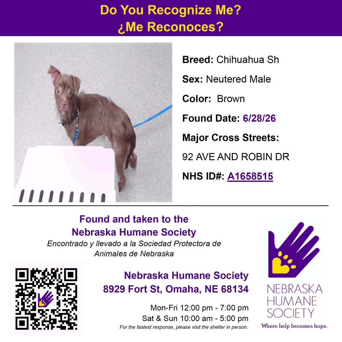 NEHumaneSociety's tweet photo. https://t.co/Y30jCrGtJq