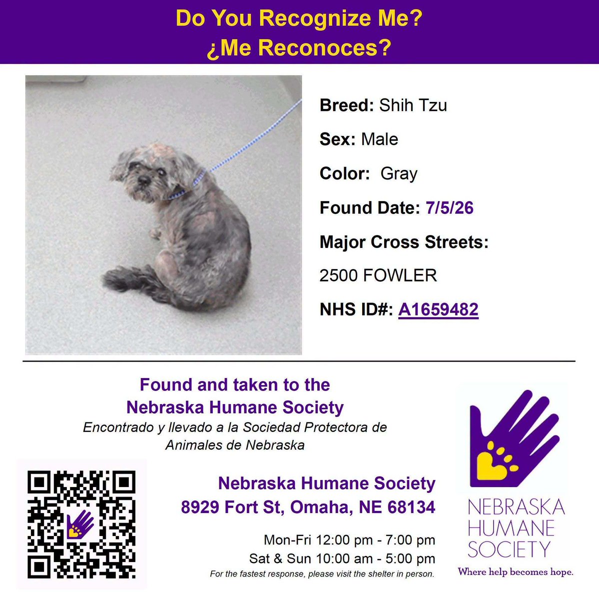 NEHumaneSociety's tweet photo. Do you recognize any of these pets?

This is just a fraction of the animals that have come into our care in the last 8 days. Please share to help us find their families!

If your pet is missing, visit https://t.co/nlPSvln0ns to fill out a report and see all of our strays. https://t.co/JyZB91TTjW