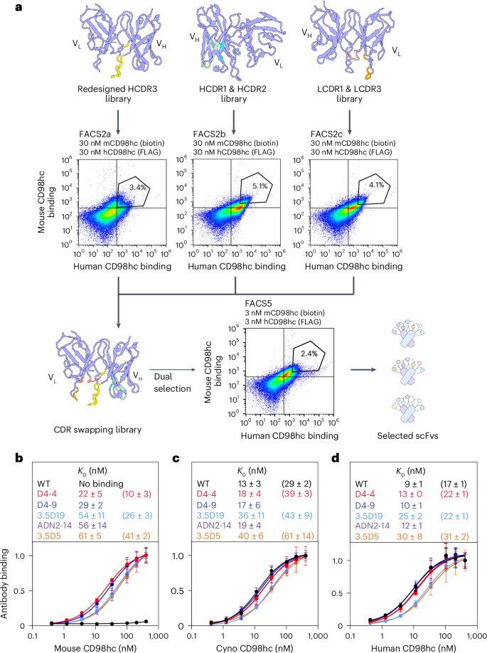LabWaggoner's tweet photo. CD98hc-targeted antibody shuttles for central nervous system delivery with broad cross-species reactivity @natBME @tessierlab @UMich 
https://t.co/MI728WPMe3 https://t.co/WPJEEp0Uk1