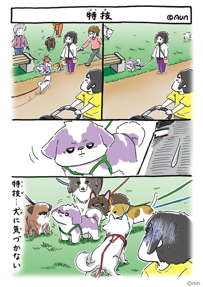 AUNTEMPO's tweet photo. 「あうんのてんぽ」11巻
地方イラストレーター家族にある日突然シーズー犬がやってきた
素人飼主とシーズー犬てんぽのドタバタな毎日の日記的マンガ
シーズー犬をここまで掘り下げたマンガはあまりないかも！？
地方イラストレーターの生態もお楽しみいただけるマンガとなってます https://t.co/5iTkE9xGkZ