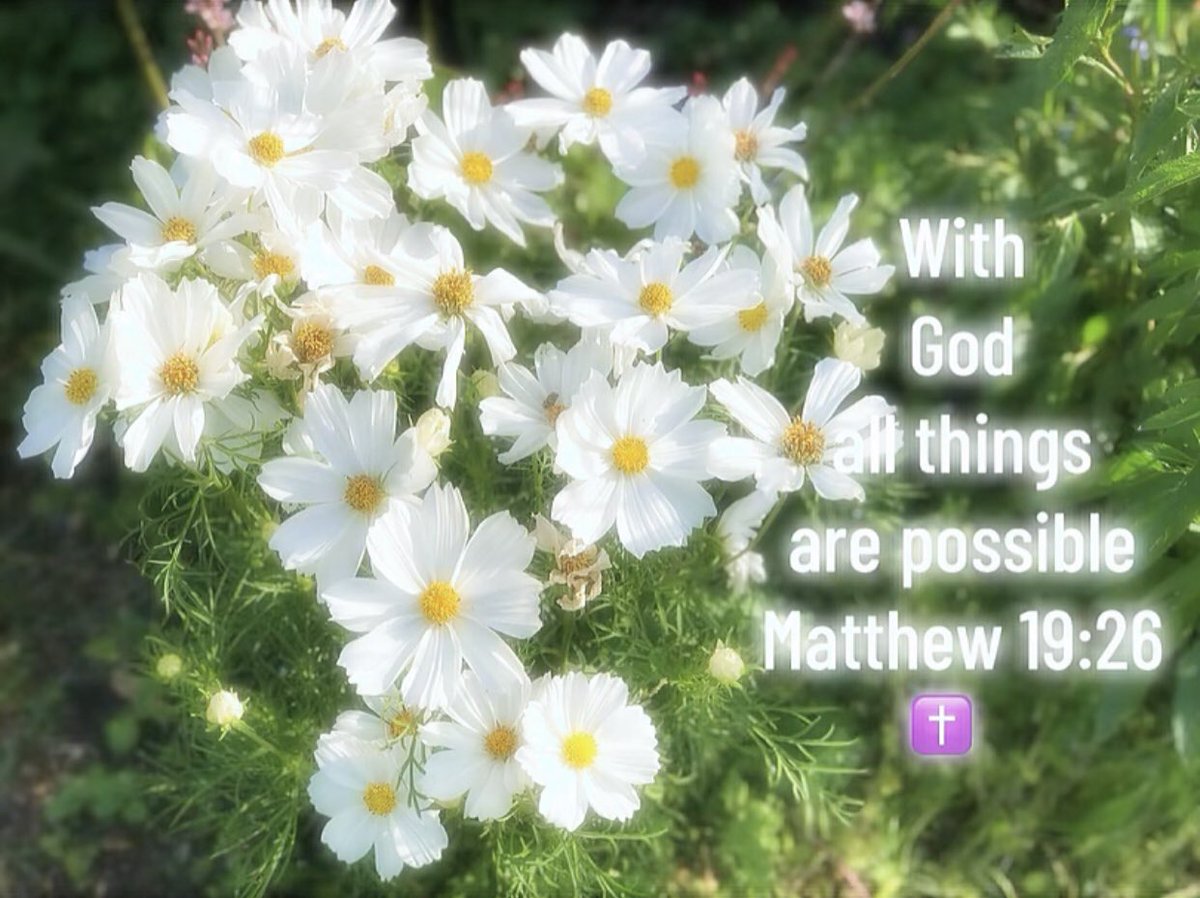 beckyangel84's tweet photo. With God all things are possible Matthew 19:26 #withGodAllThingsArePossible #jesus #God #jesuslovesyou #Godlovesyou #christian #faith https://t.co/G91t0yja8H