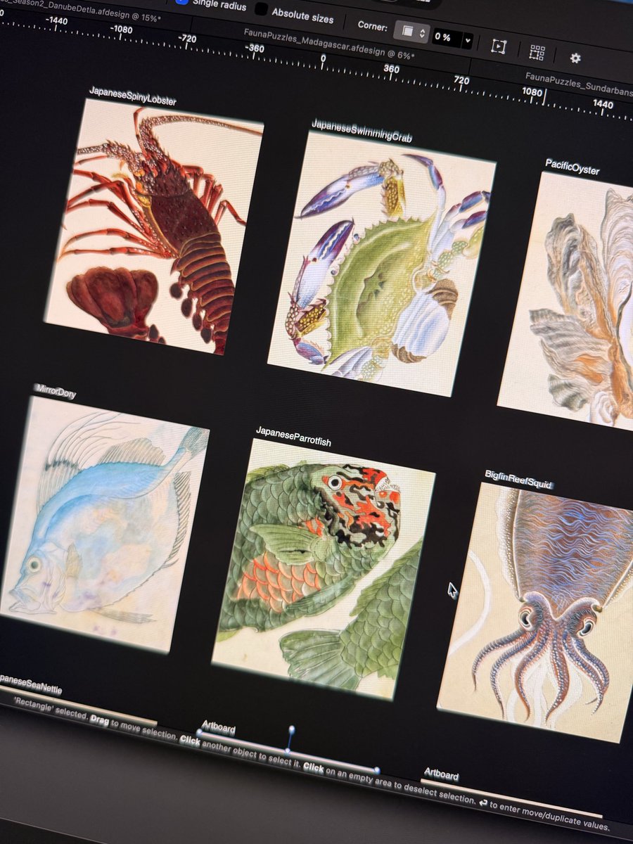 klemensstrasser's tweet photo. New Art of Fauna content is turning out pretty great! 

This package about animals from Japans Seto Inland Sea probably took the most amount of research yet, but it has been fun 🫶

Season 2 is coming later this month 👀 https://t.co/zEOKXTNAG5