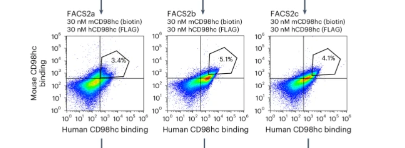 3DiMMUNE's tweet photo. to me this doesn't appear to represent real binding but rather a general background shift.

#science
#immunology
#FACS https://t.co/pyBfqqXiFz