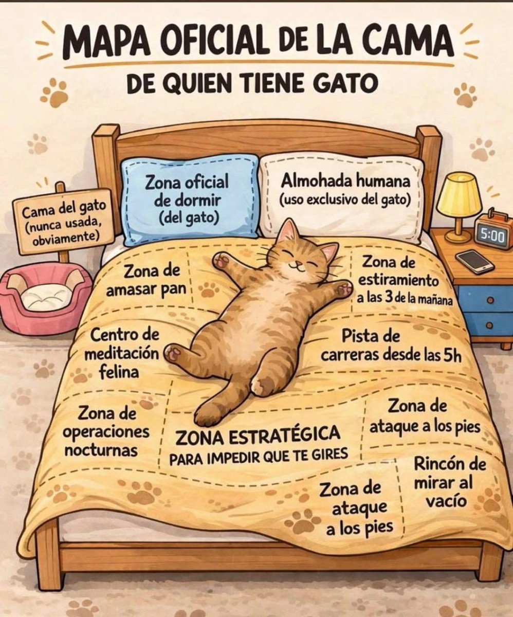 SoyClau01's tweet photo. Jajaja y no es mentira! 😅😻 https://t.co/VkpnPNFiKI