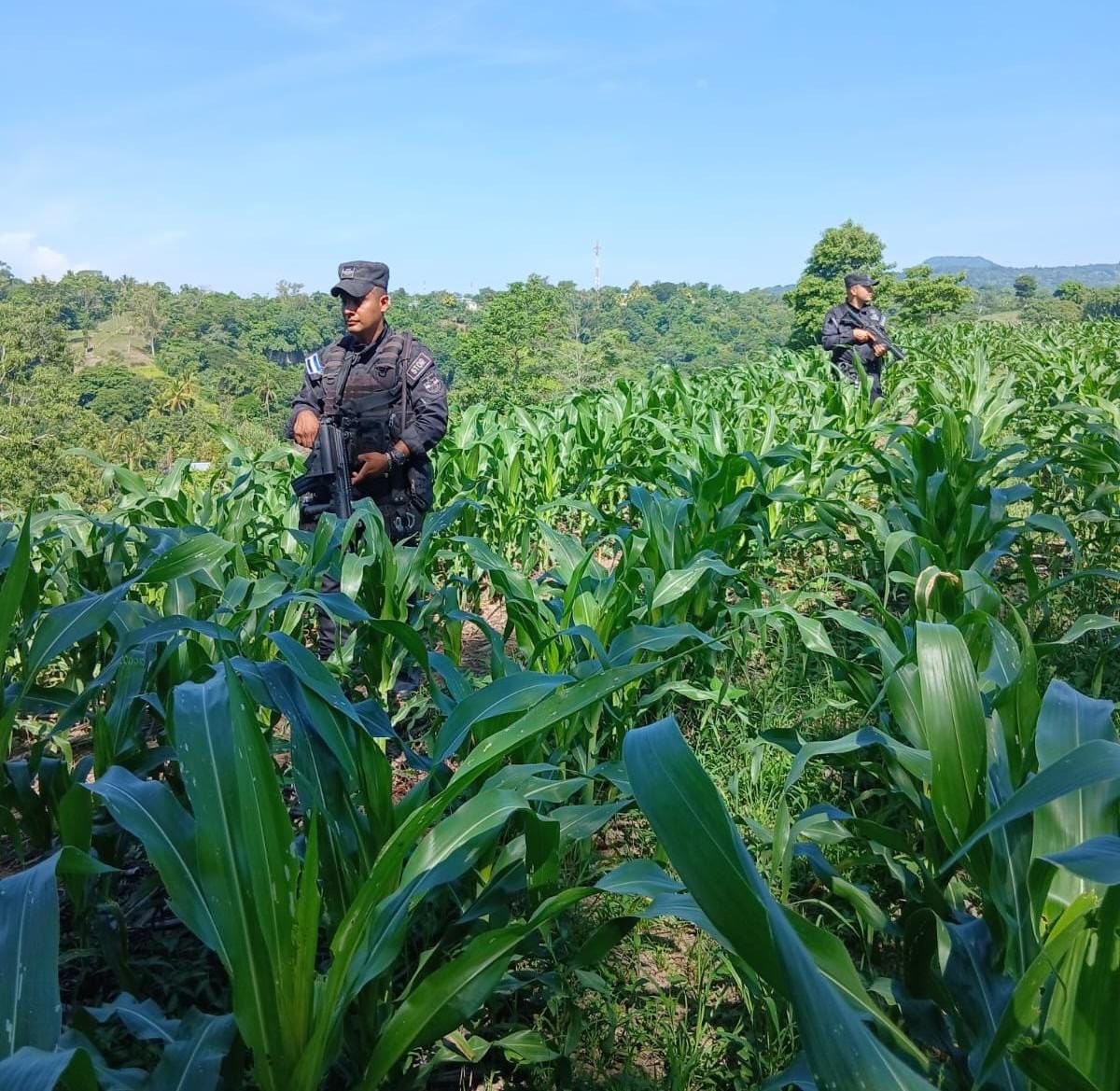 decentroDES's tweet photo. #DePaís| La Policía Rural patrulla las zonas agrícolas para brindar seguridad en todo momento, y acompañar a la gente laboriosa en el campo. Estas acciones forman parte del Plan Control Territorial, informa la 
@PNCSV.
Fotos: Cortesía https://t.co/niEHUhDYUX