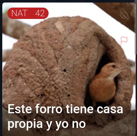CHERKE2007's tweet photo. @kitty1393859 Arquitectos con alas https://t.co/VotUNoyL4T