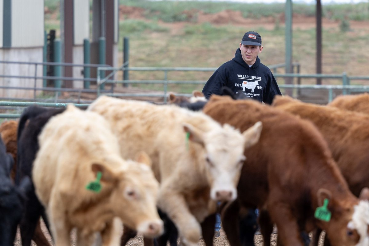 Agriculture is America tweet media
