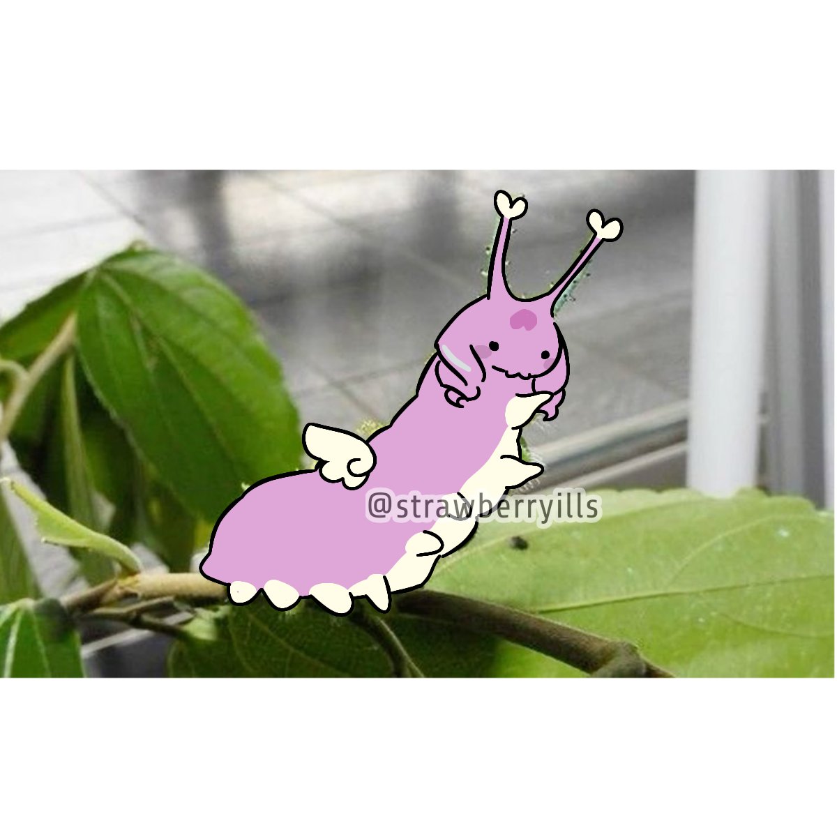 strawberryills's tweet photo. Look who it is
Sugarpillar
#cookierunkingdom #eternalsugarcookie https://t.co/PgfD6kIrjo