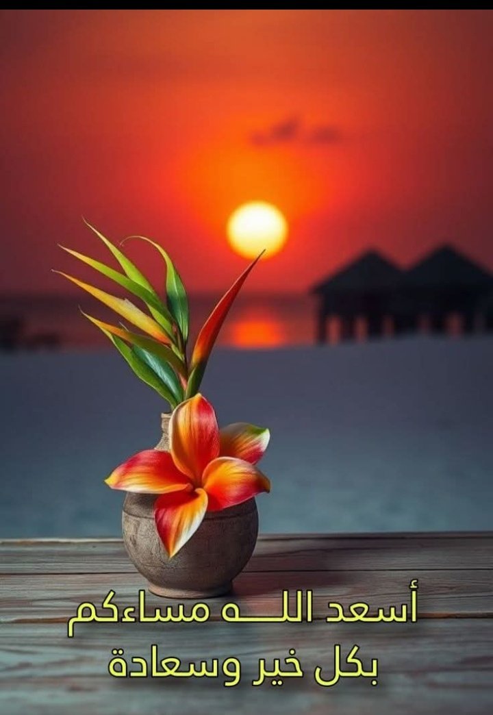 alameri66728245's tweet photo. *تتشابه القلوب الطيبة وتلتقي الأرواح الجميلة على الحب* *والخير دائما" ليس من الضروري ان يرى كل منا الآخر يكفي أننا التقينا على الخير واجتمعنا على المودة الصادقة مهما بعدت المسافات بيننا فأرواحنا قريبة تدعو لكم بالسعادة الدائمة*
مساؤكم سعادة وفرح يعانق قلوبكم النقية 💞 https://t.co/PzBMnc4S5K