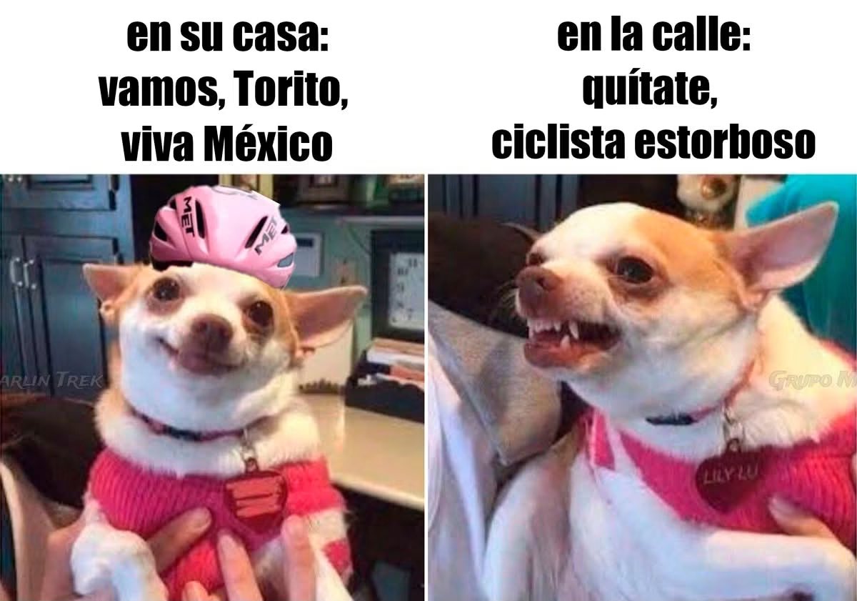 ardillawer's tweet photo. No sean así jajaja https://t.co/T42V25vngW