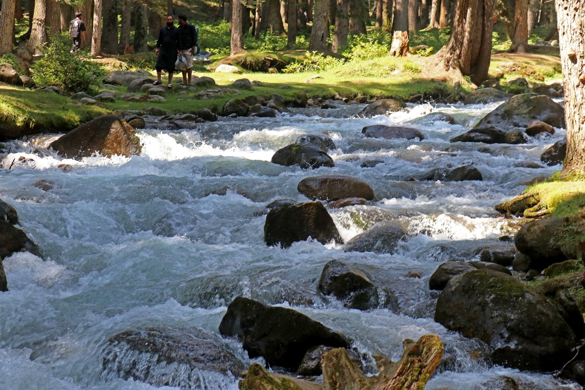 KashmirLife's tweet photo. The crystal-clear waters of the #DoodhGanga River flow through the verdant #Haijan #Brenwar meadow in #Chadoora, #Budgam, offering a serene escape amid dense forests and rolling grasslands. Fed by glaciers in the #PirPanjal range, the pristine stream has emerged as a popular offbeat destination for tourists and picnickers seeking tranquillity in the #KashmirValley. See photos by #BilalBahadur #KashmirLife